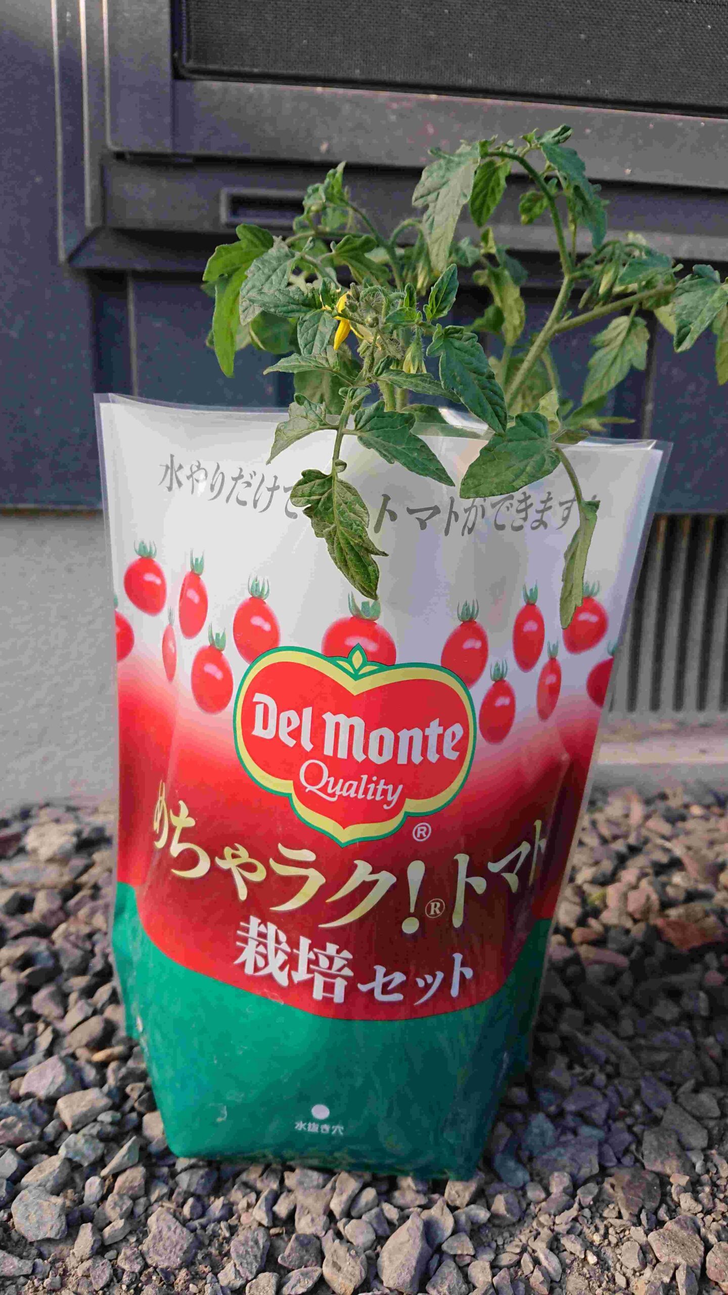 トマトジュースメーカーが栽培用のキットを販売