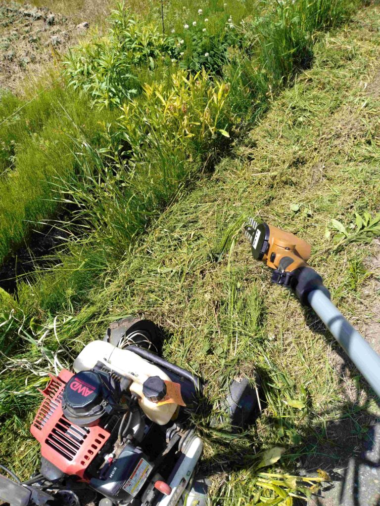 エンジン式草刈機と電気式草刈機