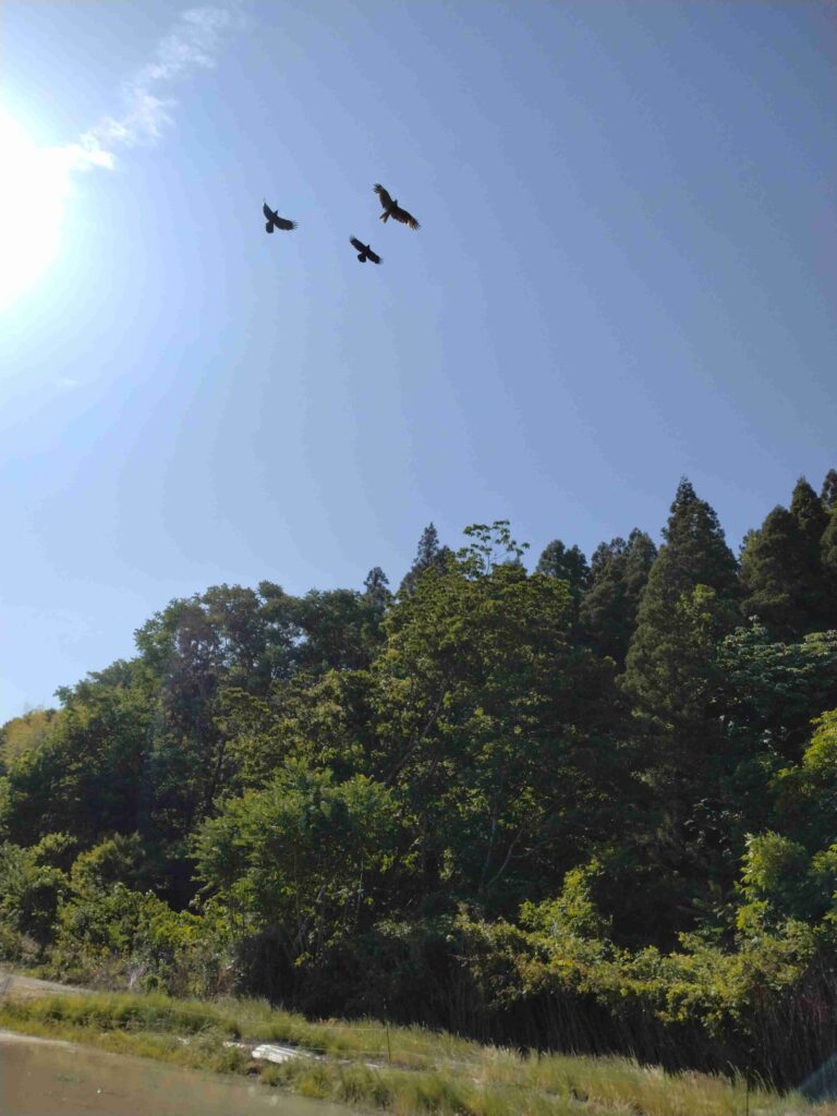 きれいな空気の中で運動しストレス発散