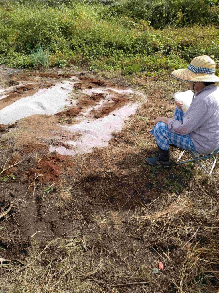 様子を見に来た母