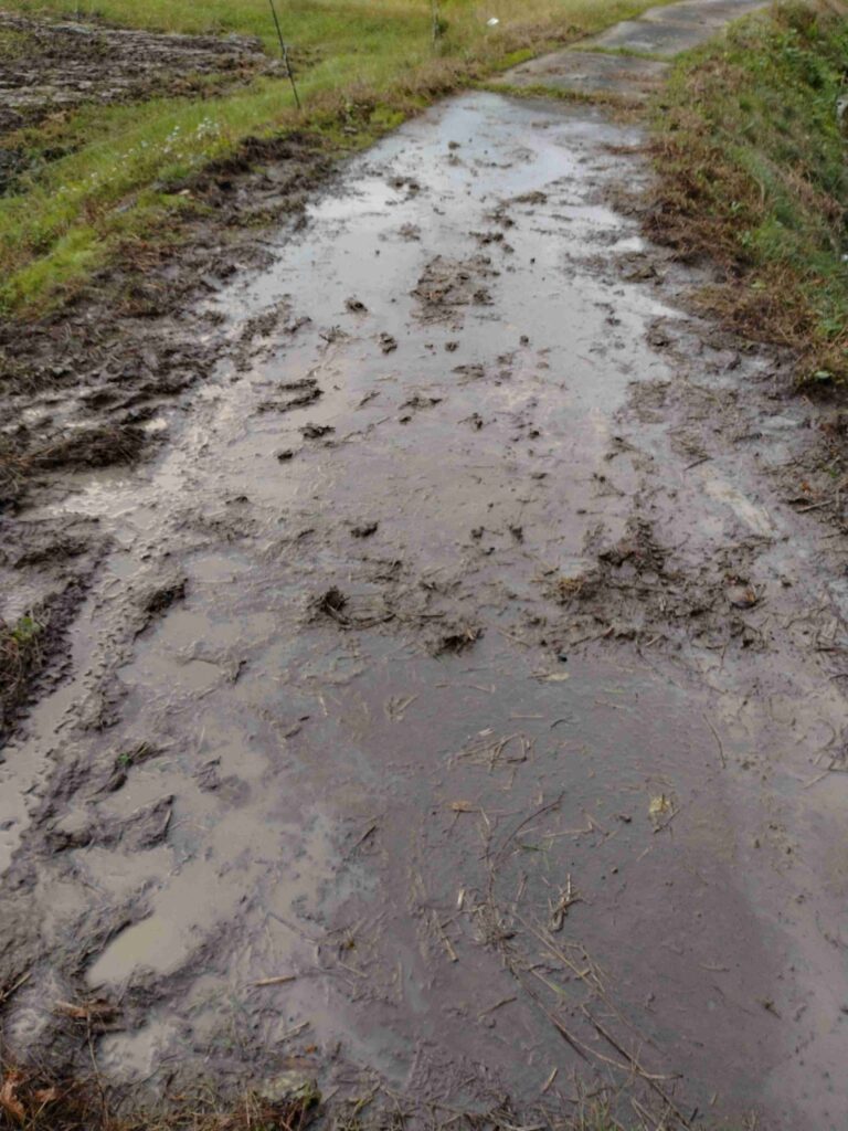 田んぼに土の塊とワラの残渣を戻し、道路も清掃