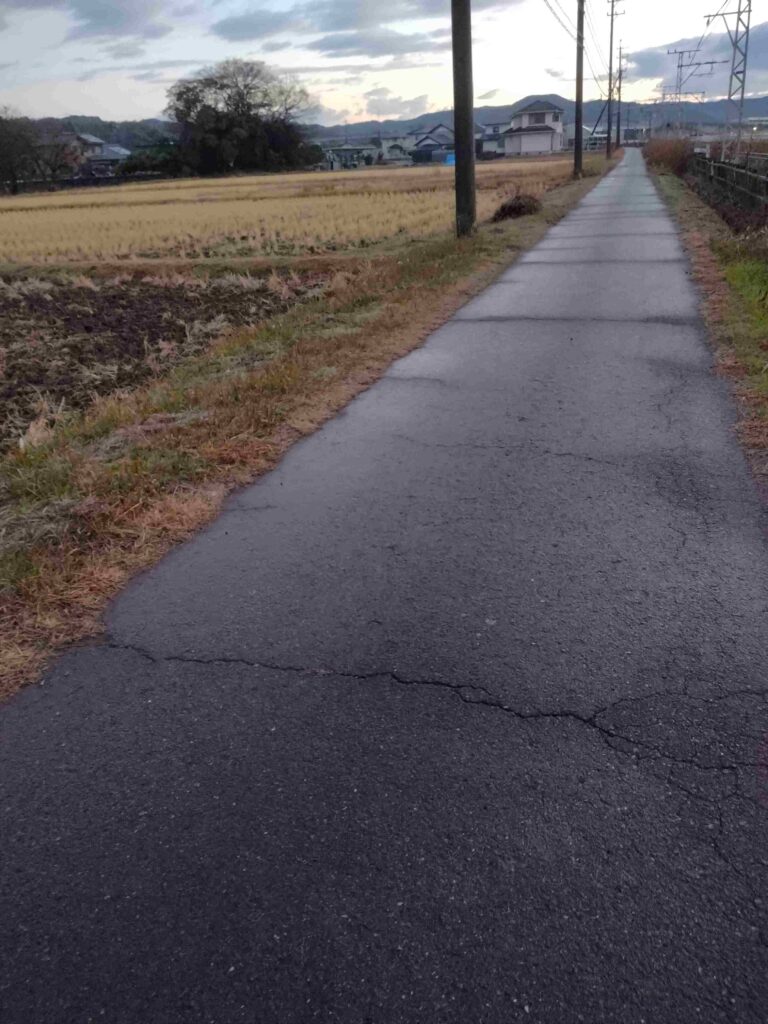 翌々週も雨が降ったため、田起こし断念