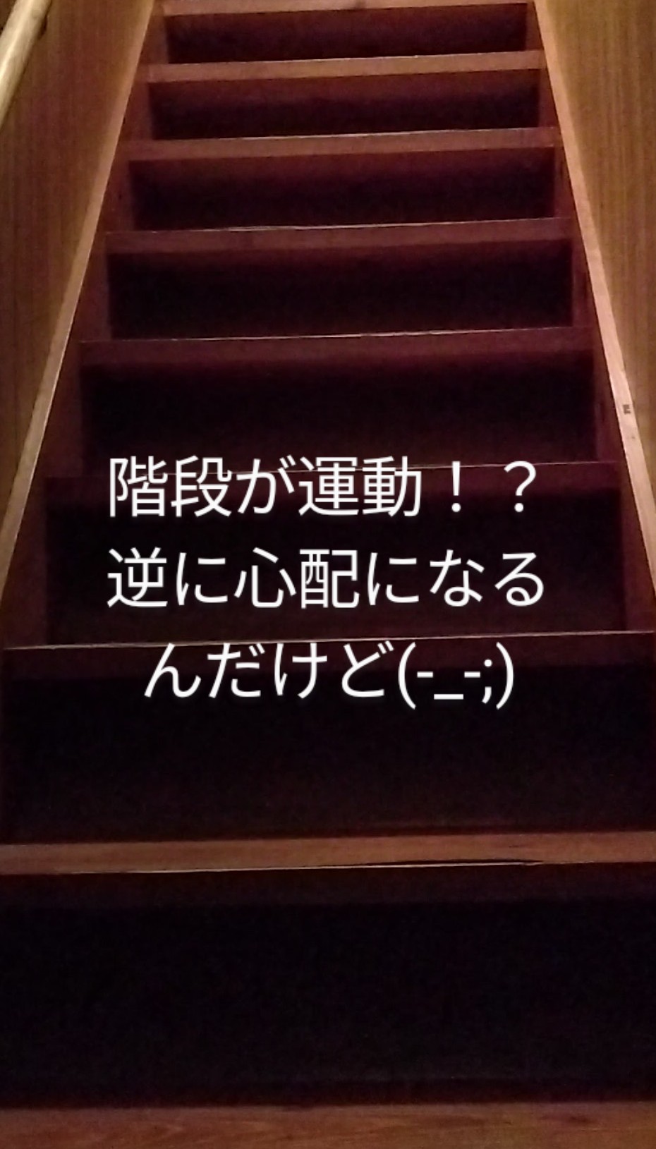 階段で２Fの寝室に向かう母に頼もしいと感じつつも心配